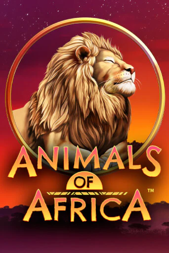 Демо игра Animals of Africa ™ играть онлайн | Casino X Official бесплатно