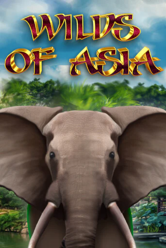 Демо игра Wilds of Asia играть онлайн | Casino X Official бесплатно