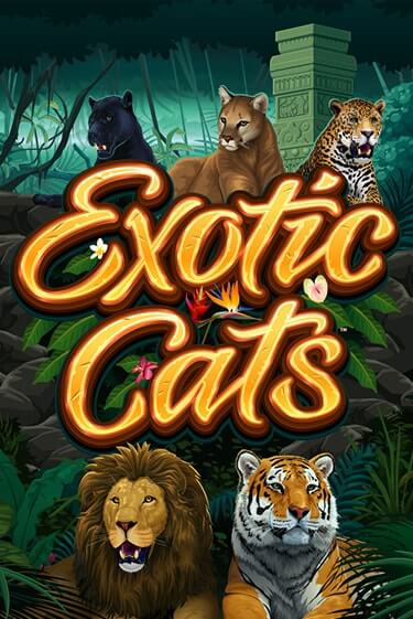 Демо игра Exotic Cats играть онлайн | Casino X Official бесплатно